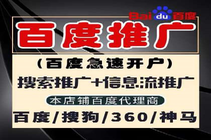 竞价排名在品牌推广中的经典案例